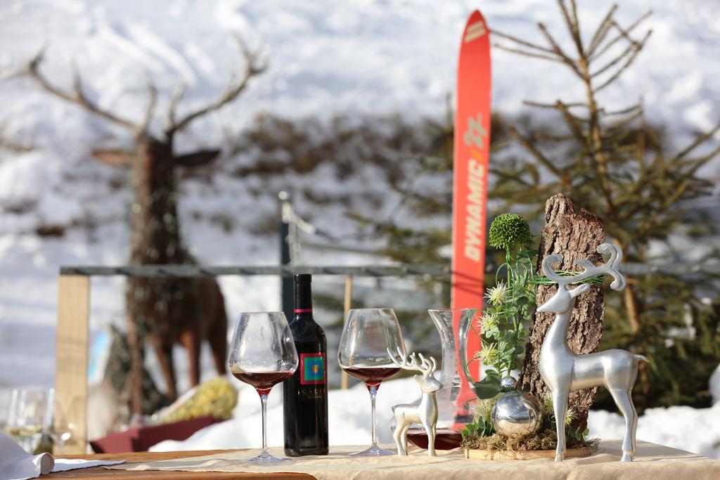Hotel Und Alpen Apartments Mit Sauna - Buerglhoeh Bischofshofen Zewnętrze zdjęcie