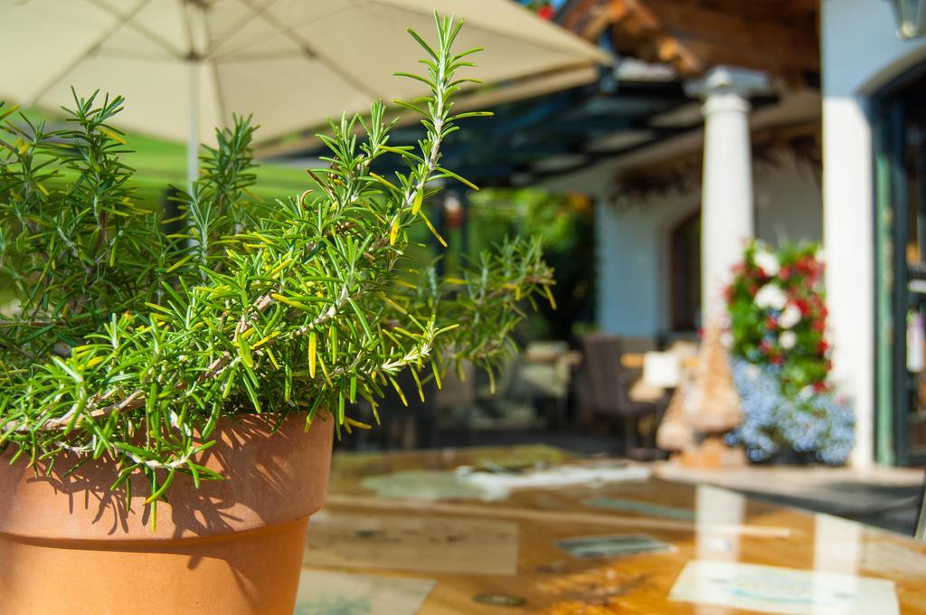 Hotel Und Alpen Apartments Mit Sauna - Buerglhoeh Bischofshofen Zewnętrze zdjęcie